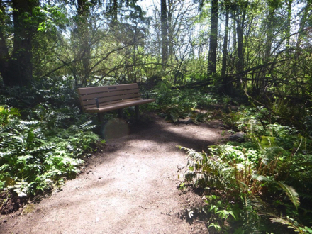 Benches located throughout trails – natural surface area – handrails on both sides